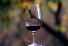a glass of Mourv&egrave;dre